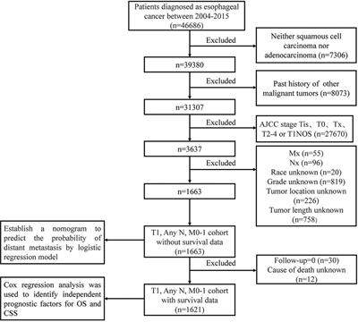 Risk factors for distant metastasis and prognosis in stage T1 esophageal cancer: A population-based study